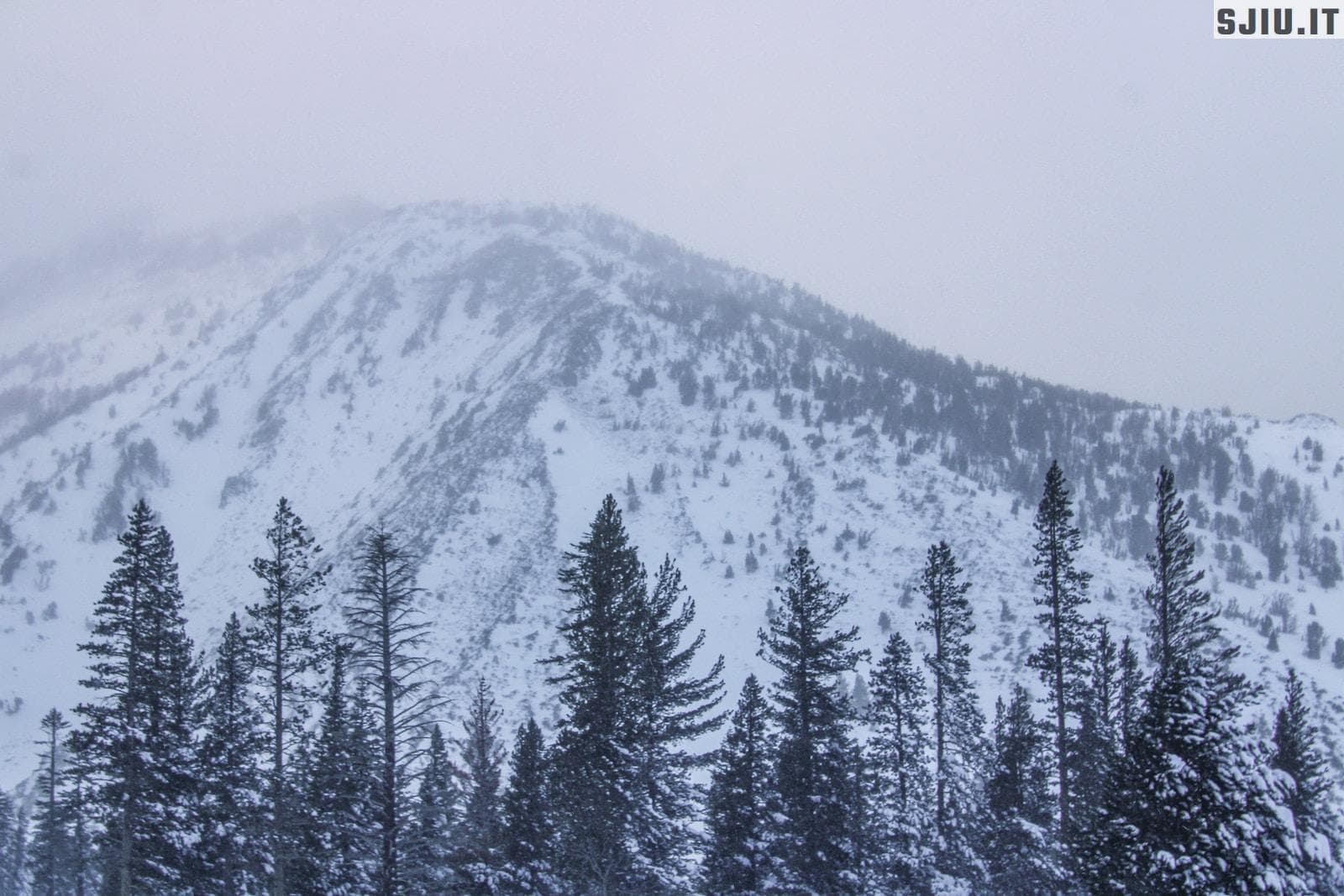 a snow covered mountain with trees in the foreground